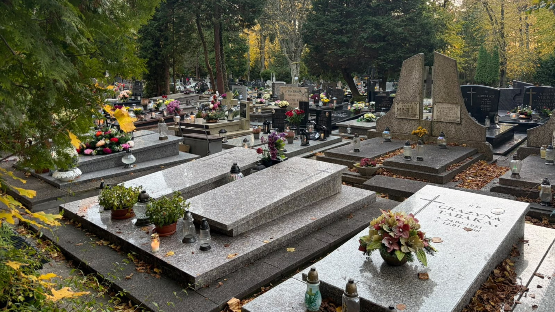 fot.
